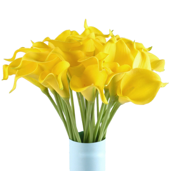 Calla Lilies with Matching Greens